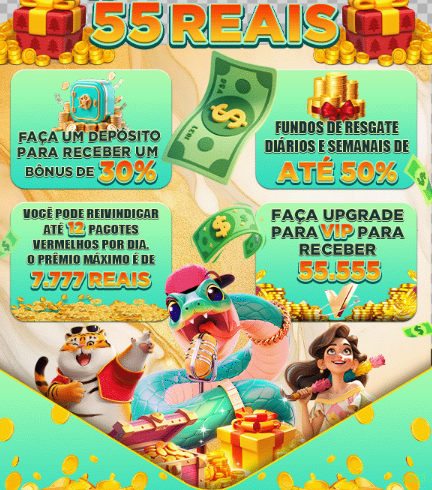Experiência VIP x333